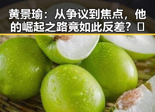 黄景瑜：从争议到焦点，他的崛起之路竟如此反差？🔥