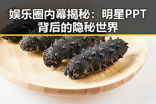 娱乐圈内幕揭秘：明星PPT背后的隐秘世界
