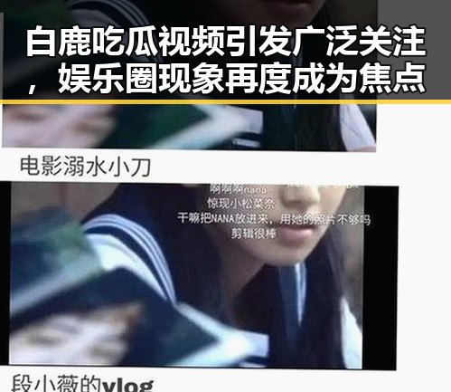 白鹿吃瓜视频引发广泛关注,娱乐圈现象再度成为焦点